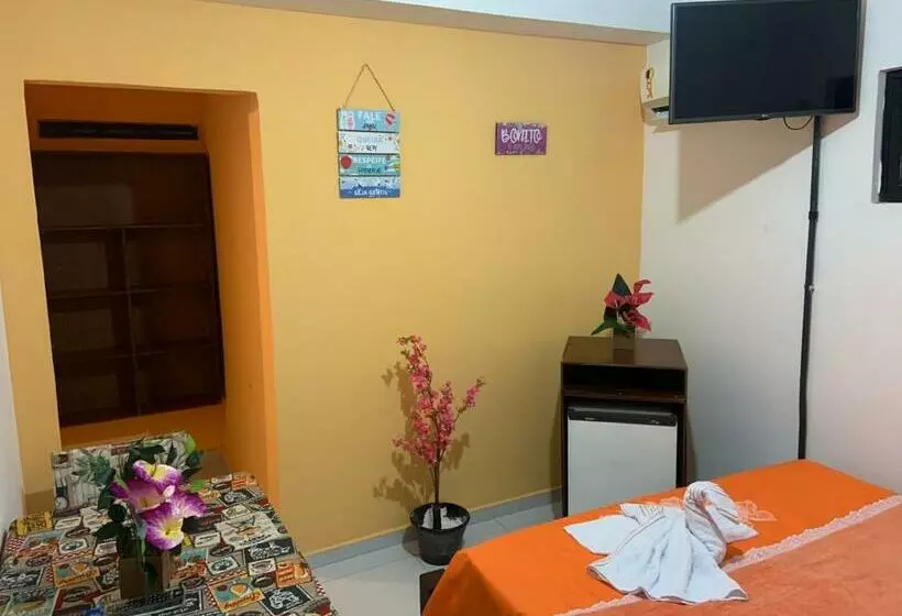 Pension  Pousada 461
