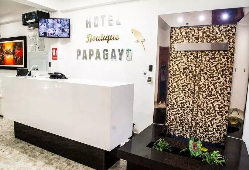 هتل Boutique Papagayo