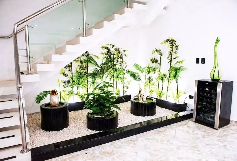 هتل Boutique Papagayo