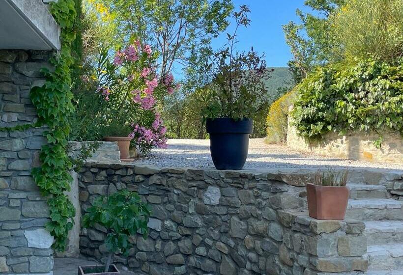 Pensiune Chambre D Hôte Le Bienêtre