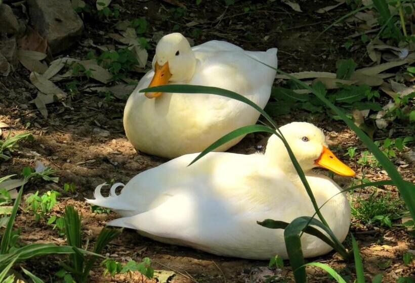 مبيت وإفطار Bordeaux Haven Guest House