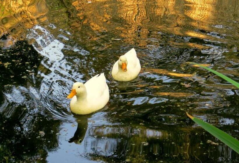 مبيت وإفطار Bordeaux Haven Guest House