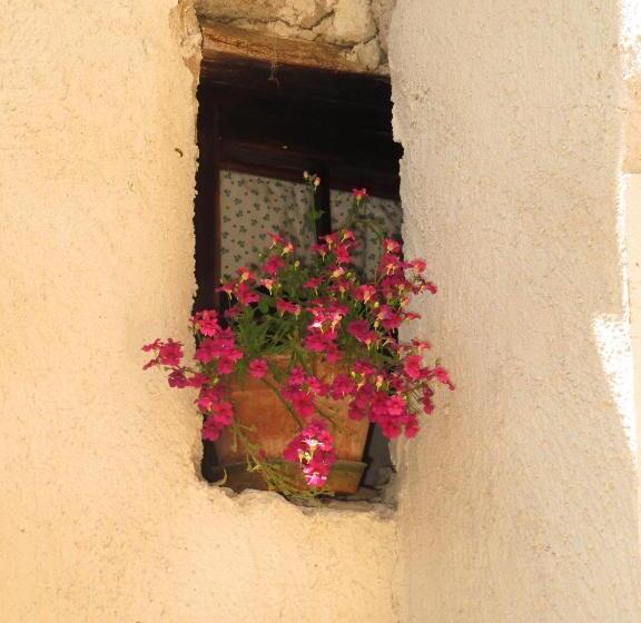 Bed and Breakfast Paneeriposo