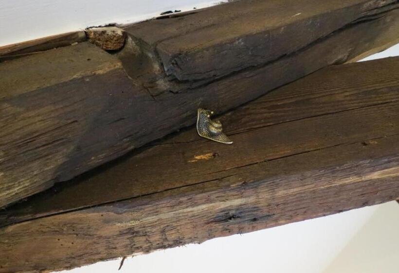 پانسیون Farthing Cottage