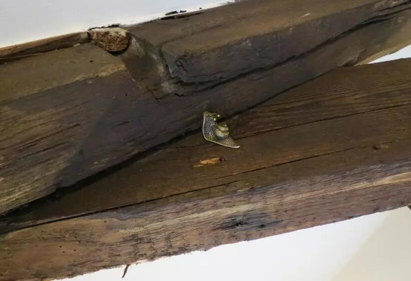 پانسیون Farthing Cottage