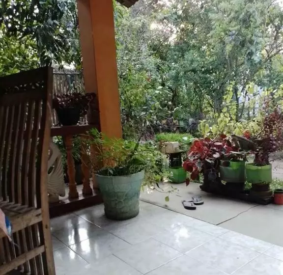 ペンション Purple Flower