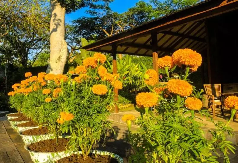 تختخواب و صبحانه Chanteak Bali   Teak House 1