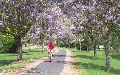 Alpine Valley Cottages