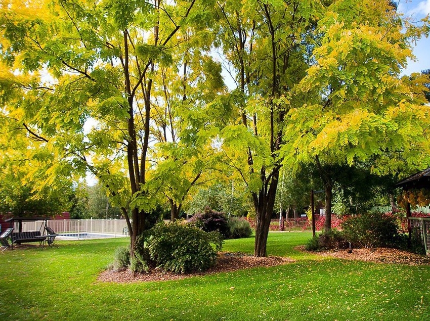 Alpine Valley Cottages