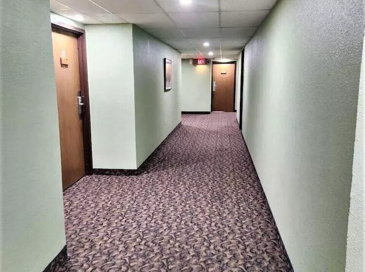 酒店 Best Stay Inn