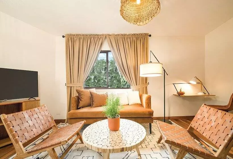 酒店 Socialtel Boquete