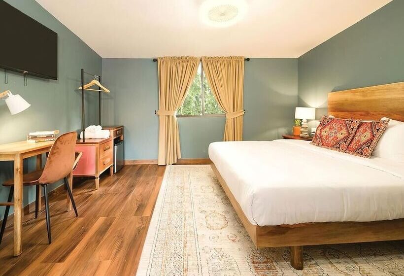 호텔 Socialtel Boquete