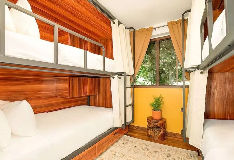 酒店 Socialtel Boquete