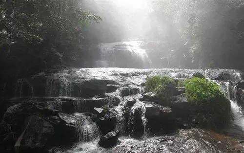 Отель Gurupriya