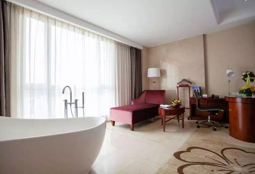 酒店 Ramada Plaza Shaoguan City Centre