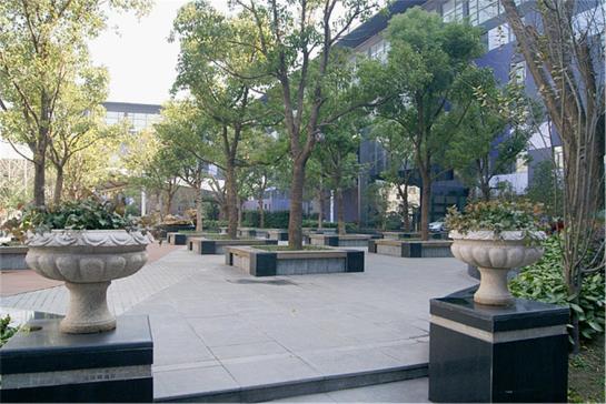 Otel Shanghai Respond