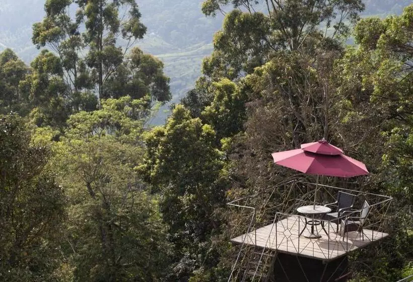 酒店 Sterling Munnar