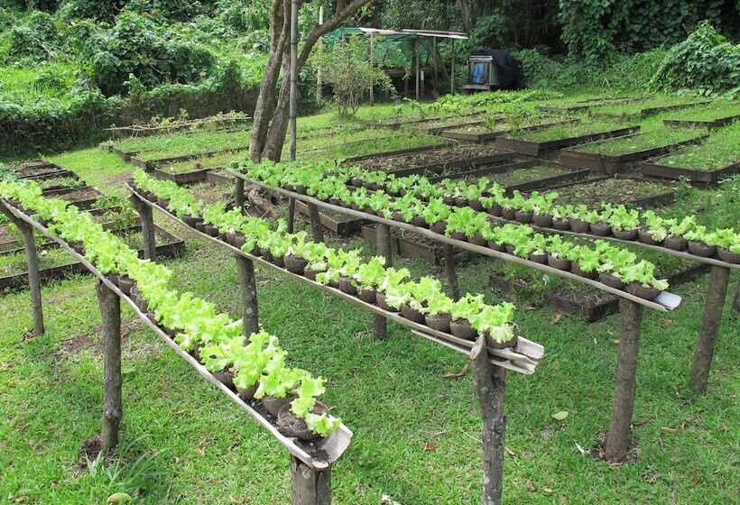 리조트 Matava   Fiji...untouched