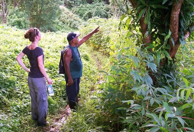 אתר נופש Matava   Fiji...untouched