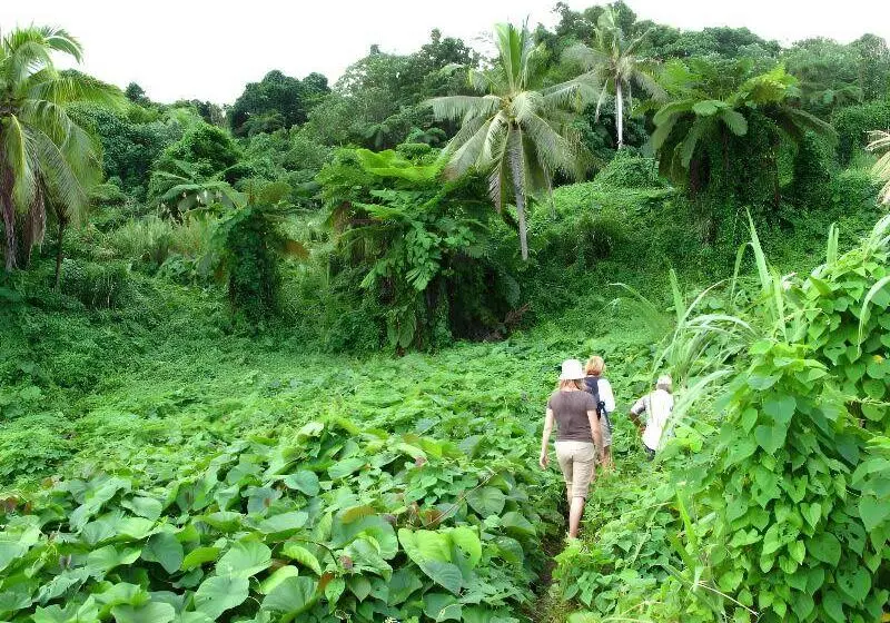リゾートホテル Matava Fiji...untouched