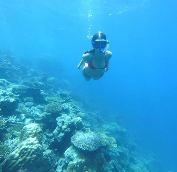 Pensão Noah Private Beach House