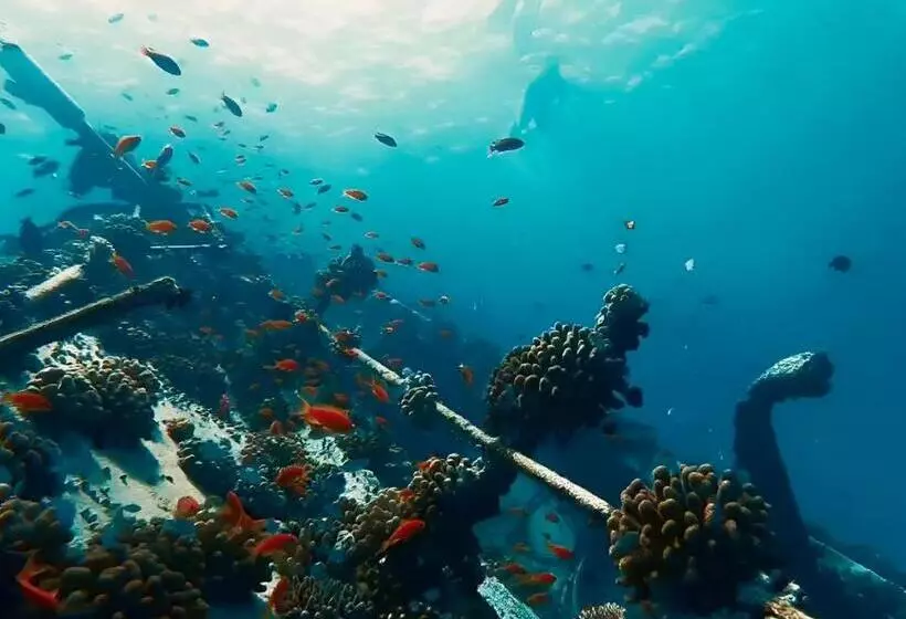 پانسیون Noah Private Beach House