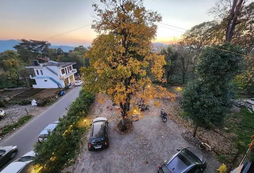 ベッドアンドブレックファースト The Birdhouse Villa