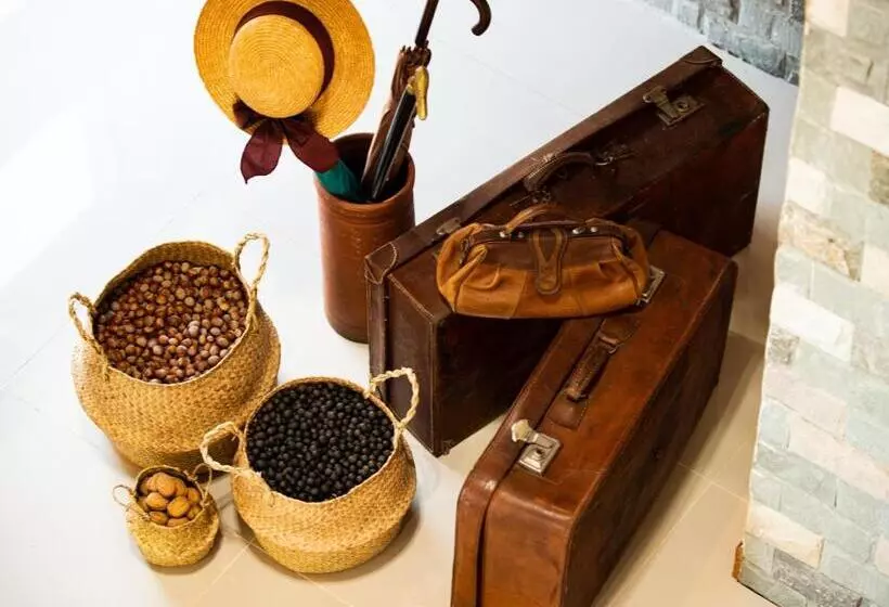 ホテル Madero Talca