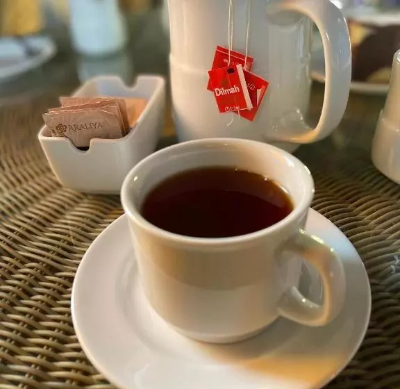 پانسیون Maha Oya Lodge