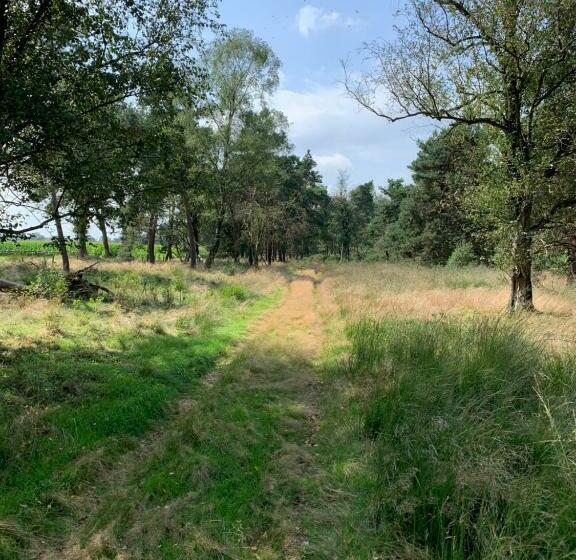 צימר Haarles Landleven