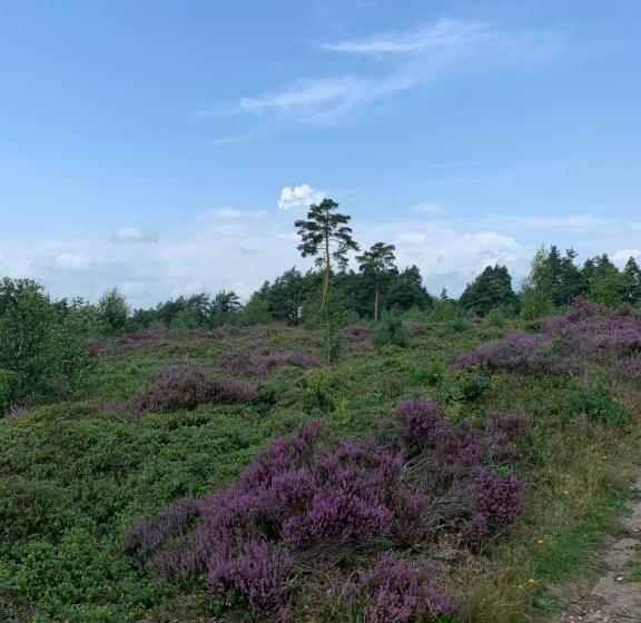 צימר Haarles Landleven