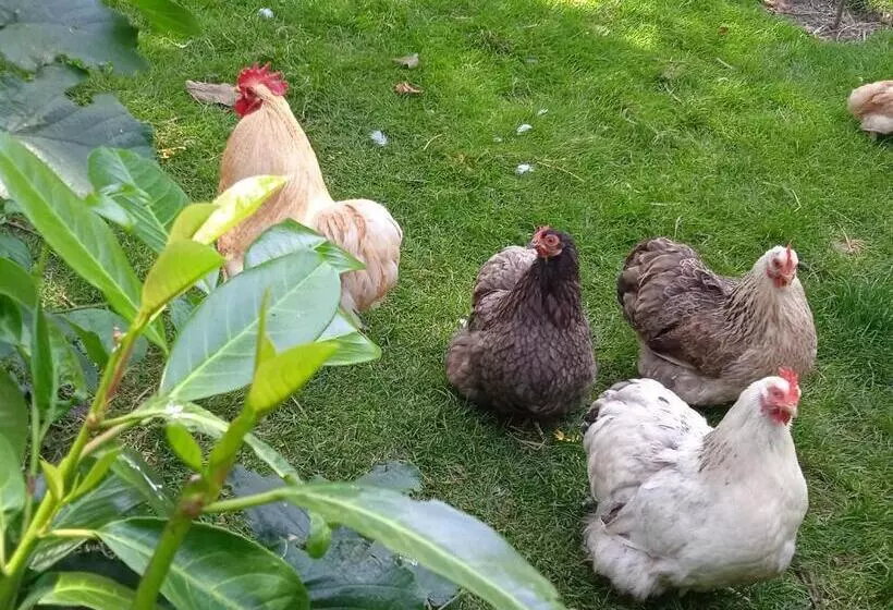 Aamiaismajoitus (B&B) Les Clés Du Parc