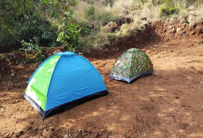 Hotel Oyo 85889 Sayali Holidays