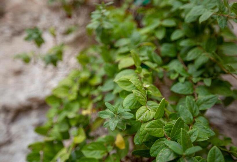 ホテル Poeta Jorge Manrique