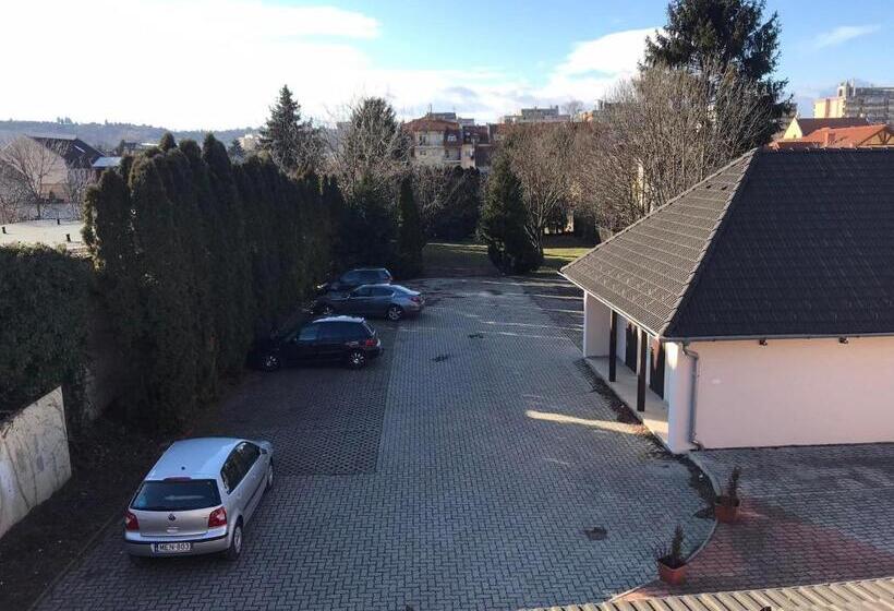 مبيت وإفطار Centro Panzió