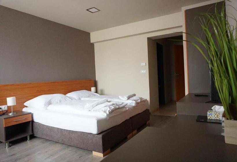 مبيت وإفطار Centro Panzió