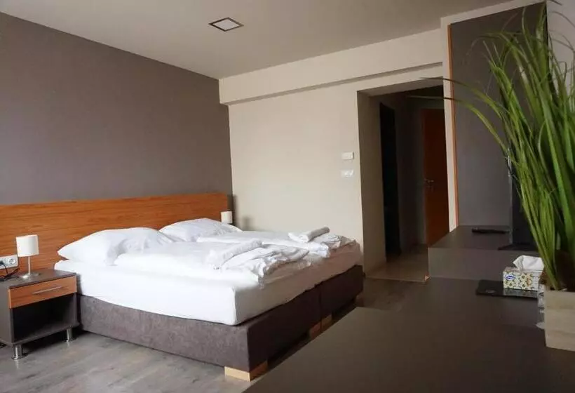 Aamiaismajoitus (B&B) Centro Panzió