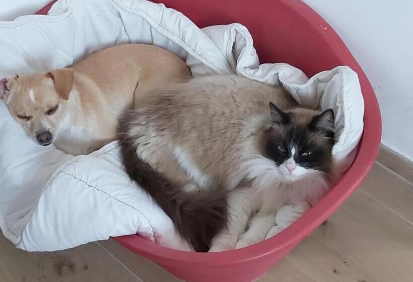 Bed and Breakfast Domaine De Codeval