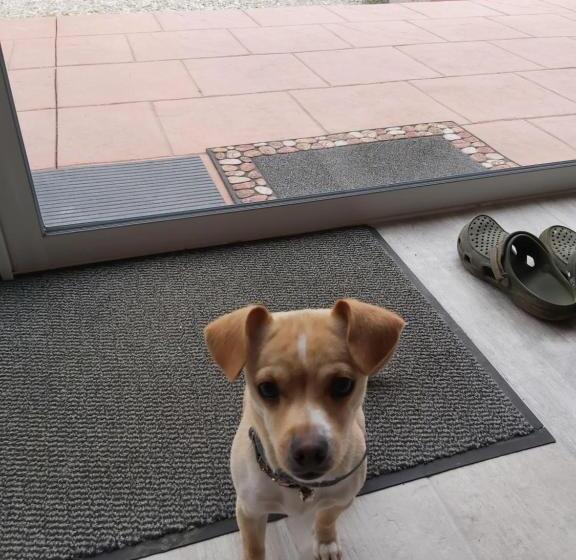 Bed and Breakfast Domaine De Codeval