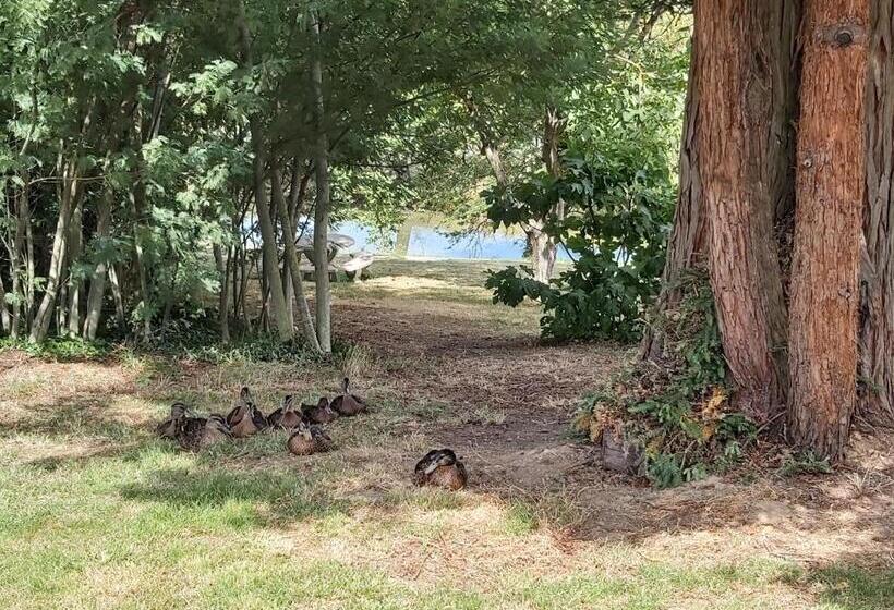 Bed and Breakfast Domaine De Codeval