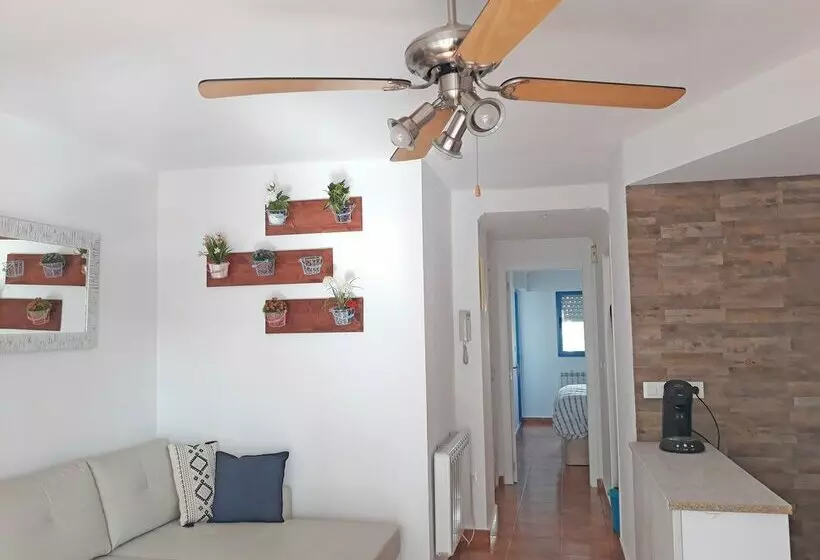 Apartamentos Gandía Valencia 3000