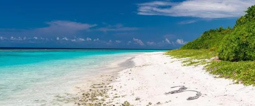 هتل Coco Ukulhas Villa