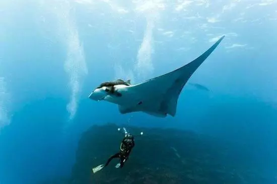 هتل Coco Ukulhas Villa