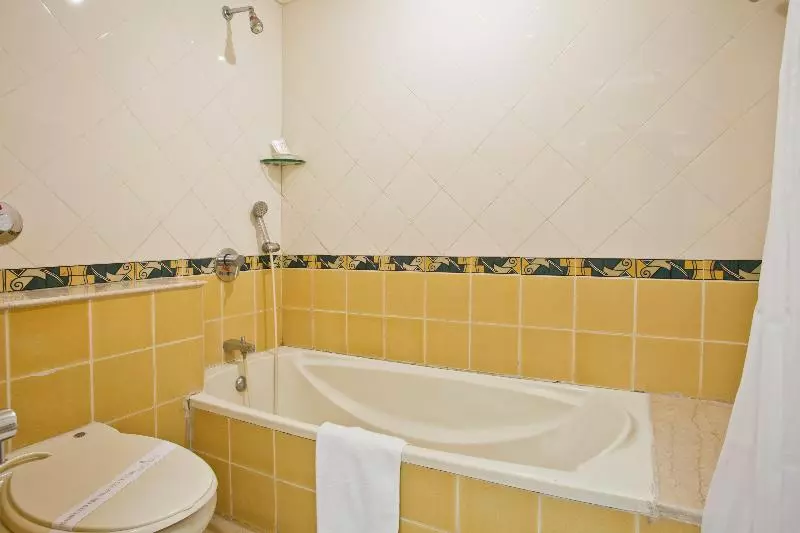 هتل Amar Vilas Indore