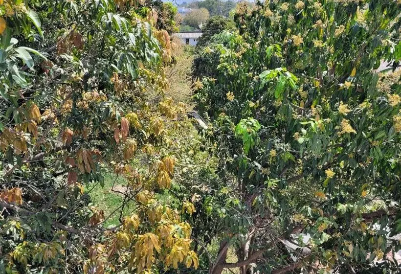 هتل Lakeside