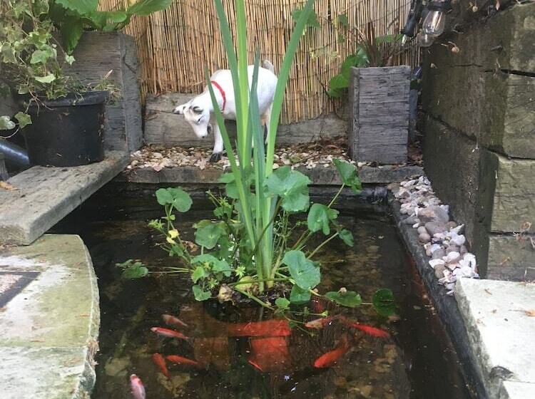 בית מלון כפרי Melford House