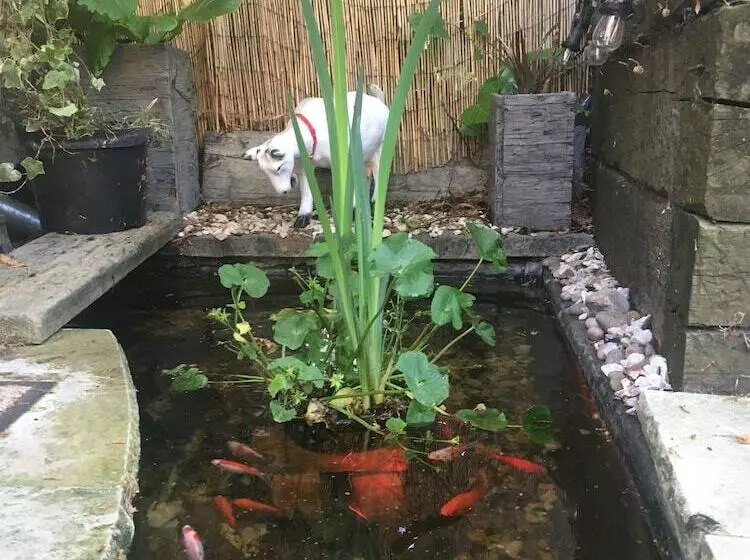 Отель Melford House