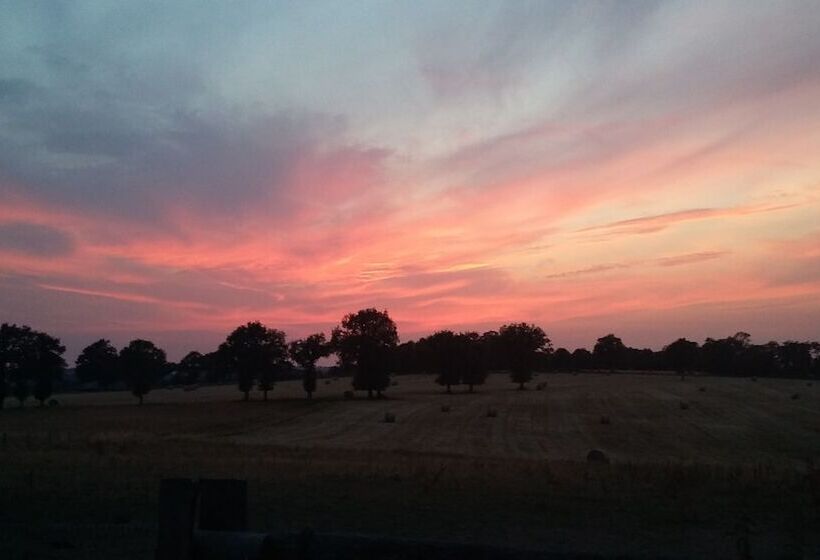 Bed and Breakfast Domaine De Savignac