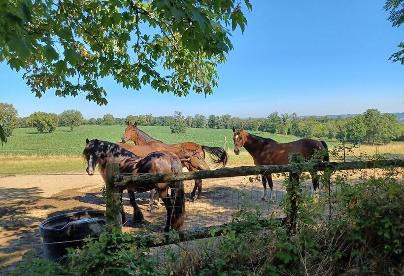 Bed and Breakfast Domaine De Savignac