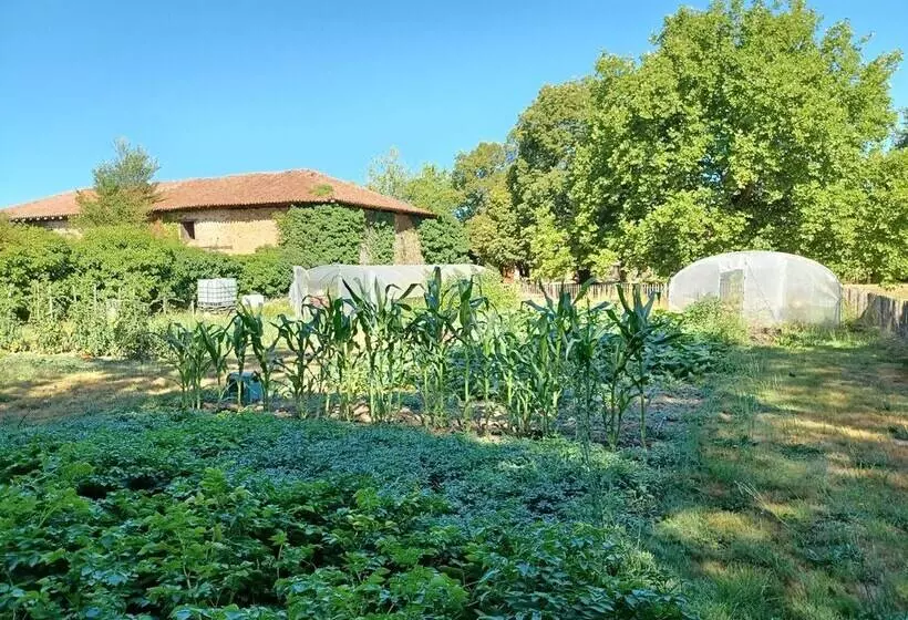 Aamiaismajoitus (B&B) Domaine De Savignac